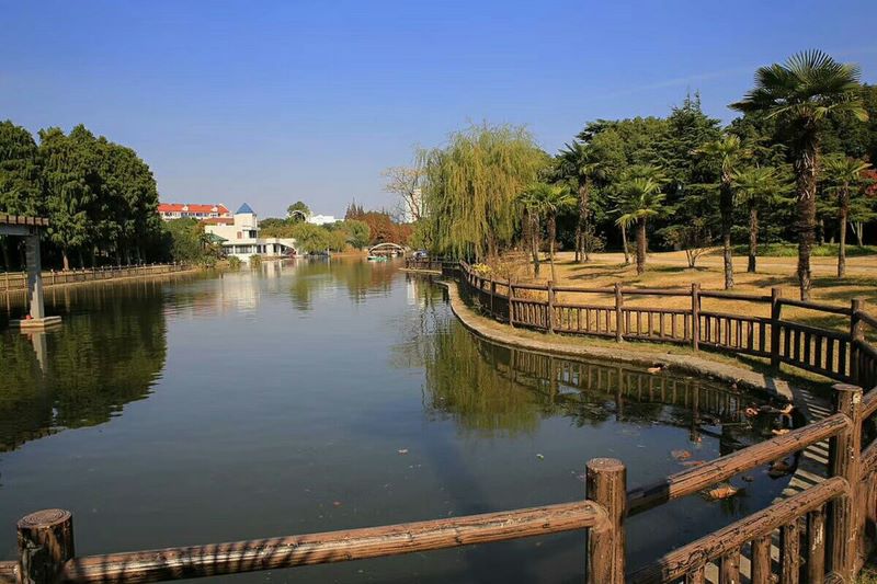 上海滨海森林公园