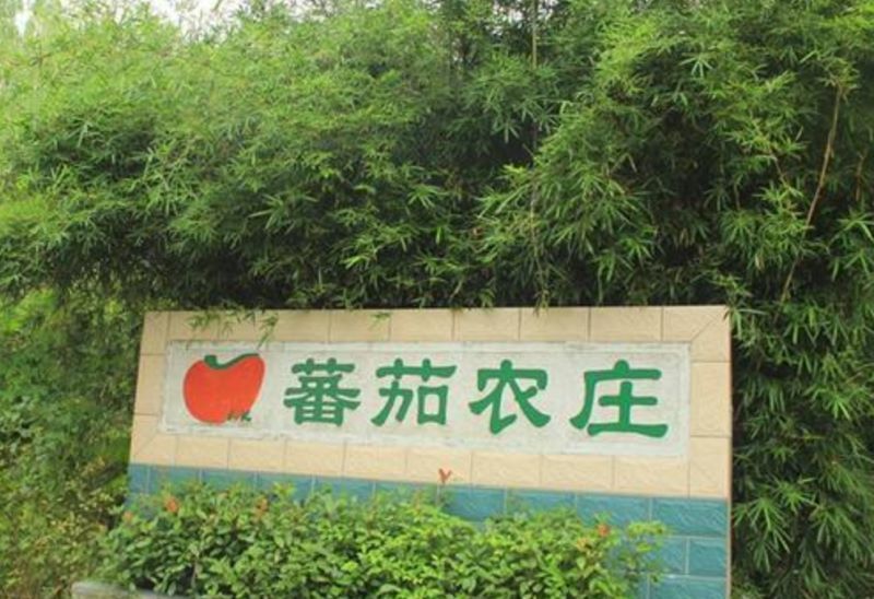 上海松江番茄农庄