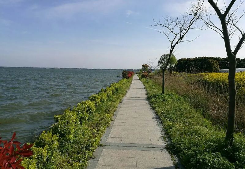 上海淀山湖风景区