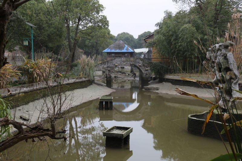 上海金龟岛渔村
