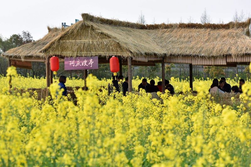 上海花米庄行景区