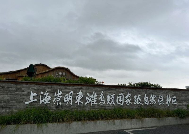上海崇明东滩鸟类国家级自然保护区