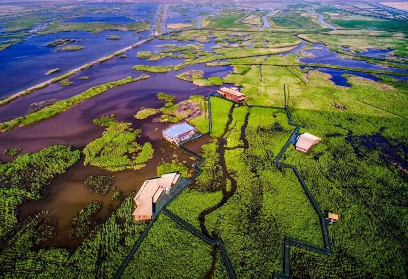 上海东滩湿地公园