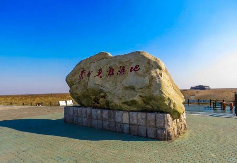 上海东滩湿地公园