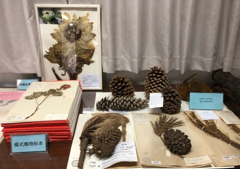 中国科学院新疆生态与地理研究所生物标本馆