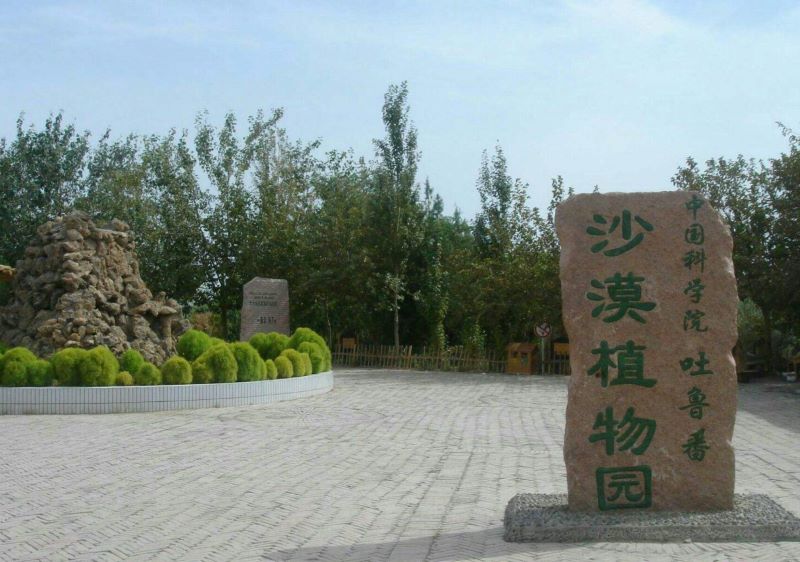 中科院吐鲁番沙漠植物园