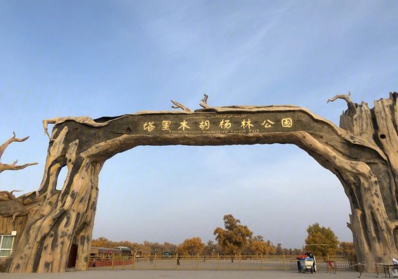 轮台塔里木胡杨林公园