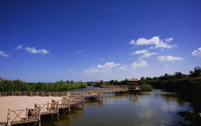 新疆博斯腾湖大河口景区