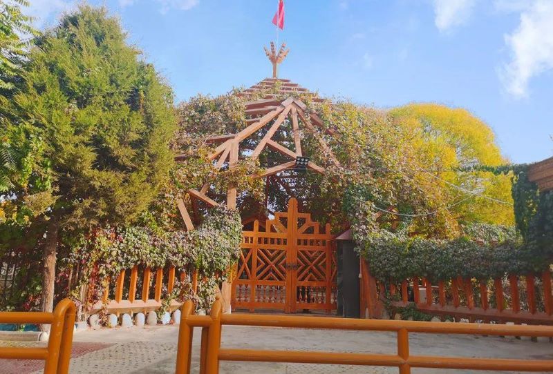 和田核桃树王公园