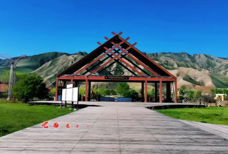 伊犁尼勒克湿地古杨风景区
