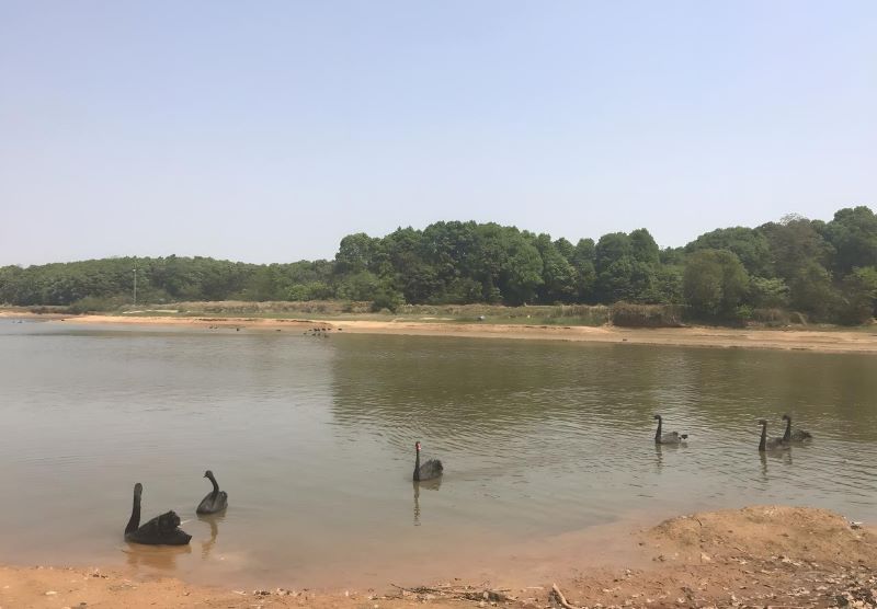 伊犁清水湖生态旅游度假村