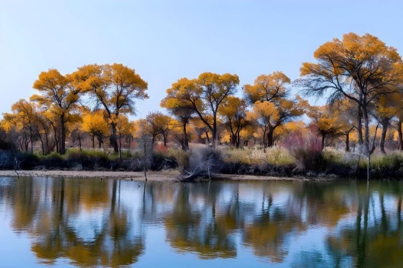 新疆图木舒克永安湖生态旅游区