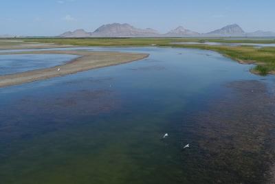 新疆图木舒克永安湖生态旅游区