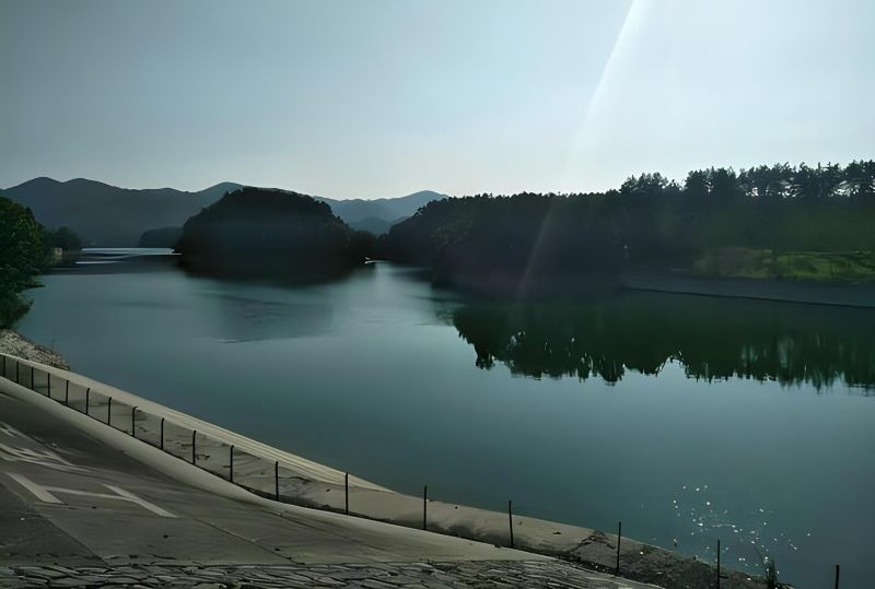 沙湾三道河子森林公园