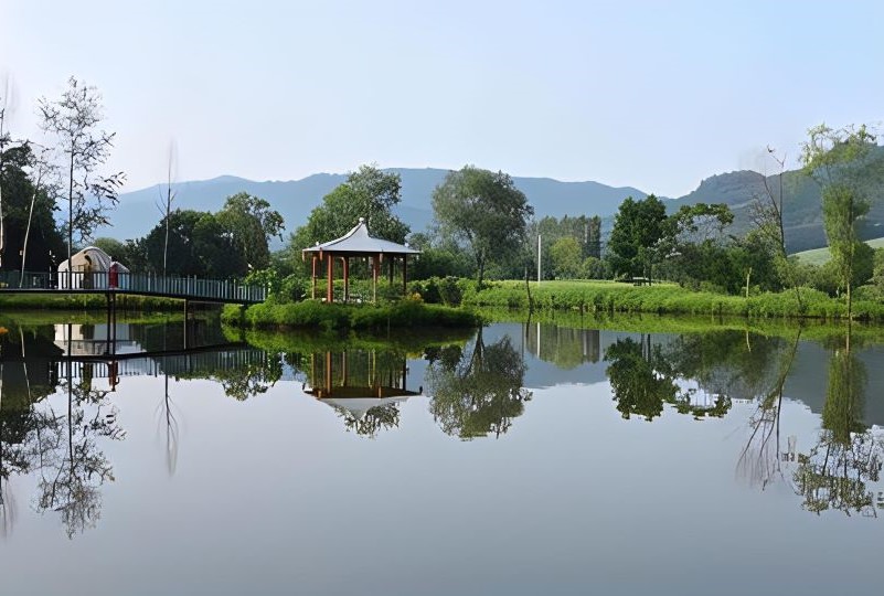 沙湾三道河子森林公园