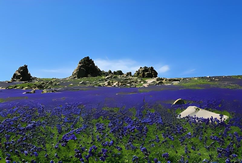 塔城塔尔巴哈台山景区