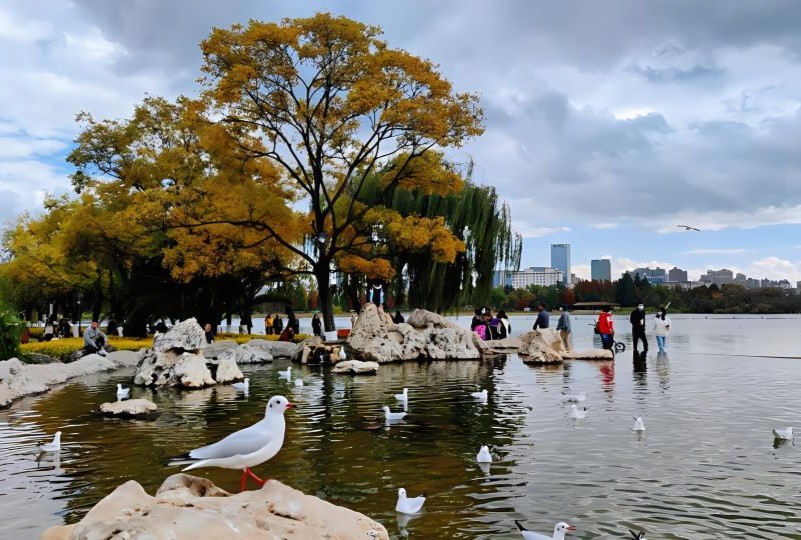 昆明大观公园