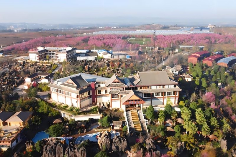 昆明石林杏林大观园