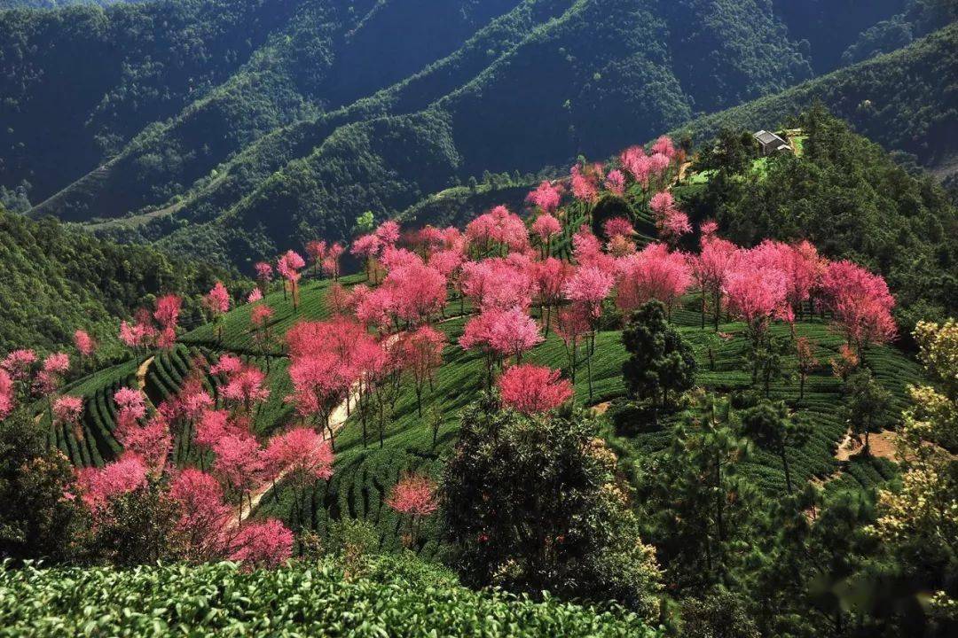 云南无量山国家级自然风景保护区