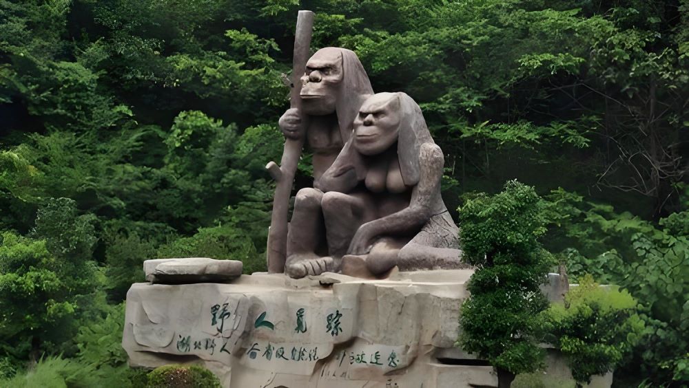 有没有科学依据可以支持神农架野人的存在？