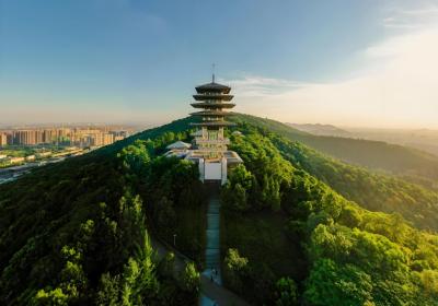 金陵揽胜：南京旅游必去的十大文化地标推荐